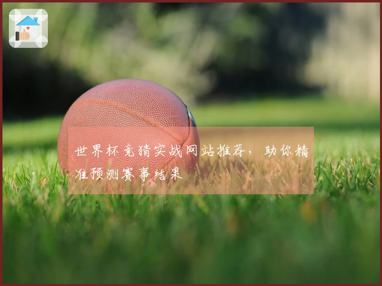 世界杯竞猜实战网站推荐，助你精准预测赛事结果