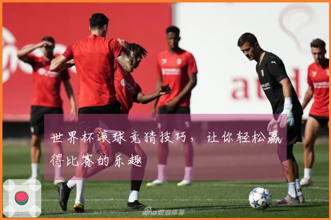 世界杯滚球竞猜技巧，让你轻松赢得比赛的乐趣