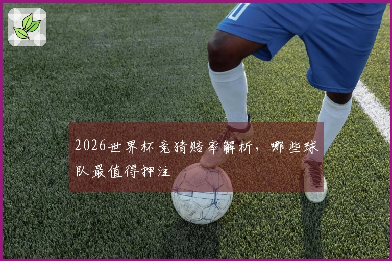2026世界杯竞猜赔率解析，哪些球队最值得押注