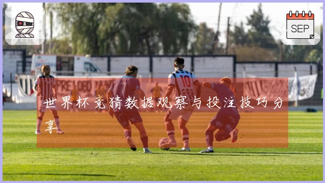 世界杯竞猜数据观察与投注技巧分享