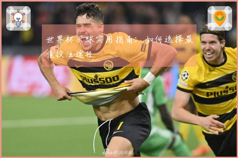 世界杯买球实用指南：如何选择最佳投注途径