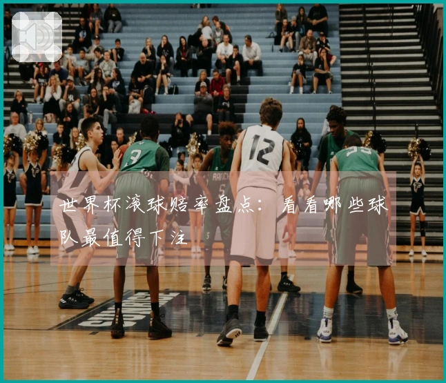 世界杯滚球赔率盘点：看看哪些球队最值得下注
