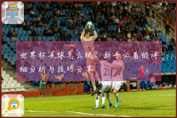 世界杯滚球怎么玩？新手必看的详细分析与技巧分享