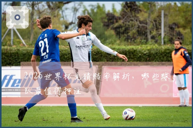 2026世界杯竞猜赔率解析，哪些球队最值得押注