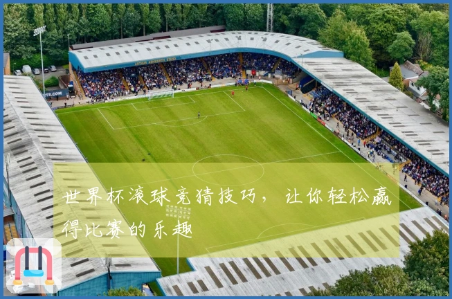 世界杯滚球竞猜技巧，让你轻松赢得比赛的乐趣